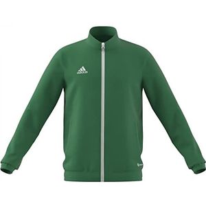 adidas uniseks-kind Track Top Entrada 22 Track Jacket, team green/white, 13 jaar