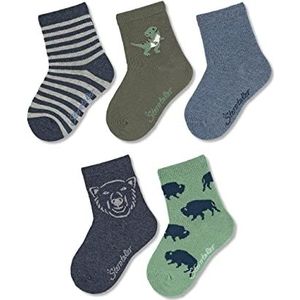 Sokken - Geschenkdoos - Ringel, Dino, Uni, Beer, Bison - 5 Paar