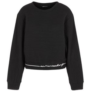 Armani Exchange Dames Bonded Stripe, Contrast Logo Line, Ronde Hals Pullover Sweater Sweater, zwart, M
