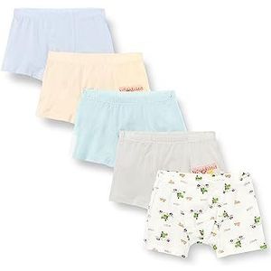 Little Hand Briefs Boxershorts voor jongens voor kinderen, Dinosaurus 4, 2-3 jaar