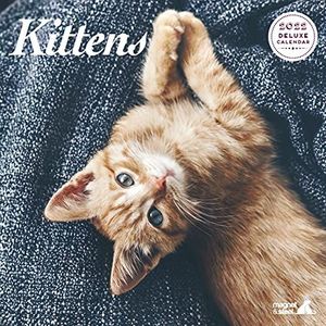 Kitten Deluxe 2022 Kalender