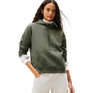 TOMMY JEANS - TJW REG S FLAG HOODIE - Pewter Green - Hoodie