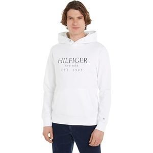 Tommy Hilfiger Heren BIG HILFIGER HOODY MW0MW35523, Pullover Hoodie, Wit, XXXL, Wit (wit), 3XL grote maten