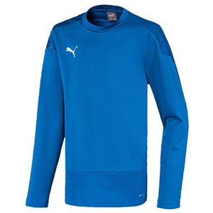 PUMA Jungen, teamGOAL 23 Training Sweat Jr T-shirt, Electric Blue Lemonade-Team Power Blue, 176