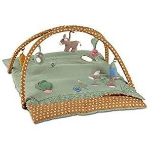 Aldi webshop Speelkleed Babygym kopen Lage prijs beslist