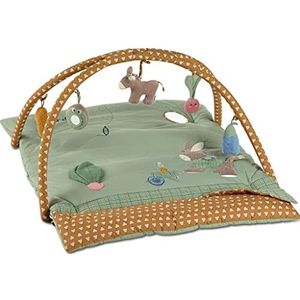 Sterntaler Speelboog Emmilius voor baby's met functies