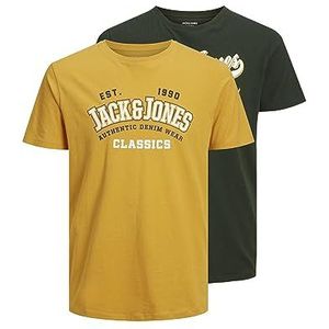 JACK&JONES JUNIOR Jongens T-shirts, Mountain View/Pack: mountain View + goud, 140 cm