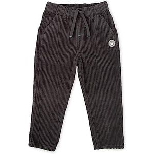 Sigikid Polar Expedition mini-corduroy broek voor jongens, grijs, 128 cm