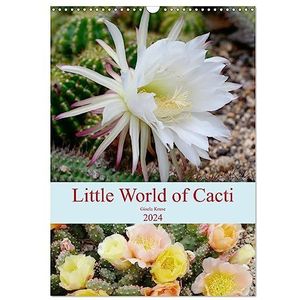 Little World of Cacti (Wall Calendar 2024 DIN A3 portrait), CALVENDO 12 Month Wall Calendar: Interesting, spiny cacti impressions