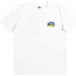 Quiksilver Colour Flow SS T-shirt voor heren, 1 stuk