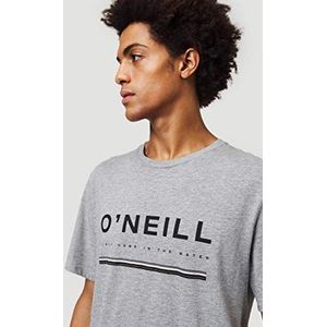 O'Neill Heren Lm Arrowhead T-shirt met korte mouwen