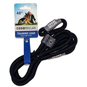 Cesar Millan Slip Lead Leash™ - Slip Collar Training Lead geeft u meer controle en de mogelijkheid om snelle en zachte correcties uit te voeren (normaal, zwart)