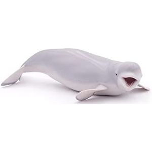 Papo -Handgeschilderde - Figuurtjes - Zeeleven -Witte Dolfijn/Belloega Walvis-56012-Verzamelbaar-Voor kinderen - Geschikt voor jongens en meisjes - Vanaf 3 jaar