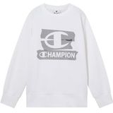 Champion Authentic Athletic Apparel Sweatshirt  wit
