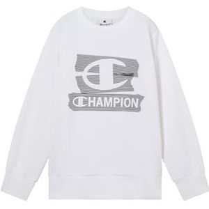 Champion Authentic Athletic Apparel Sweatshirt  wit