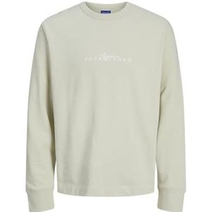 Jack & Jones Jorvarenna Sweat Straight Crew, Celadon Tint, M