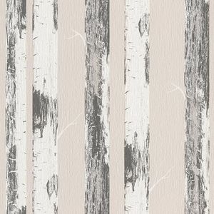 Rasch home style behang 285406 - beige papierbehang met berkenstammen, berkenbos - 10,05 m x 0,53 m