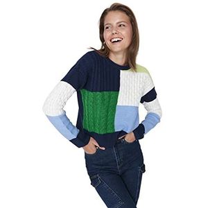 Trendyol Dames Crew Neck Colorblock Regular Sweater Sweater, Blauw, M, Blauw, M