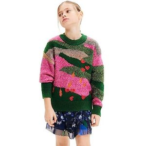 Desigual JERS_Frankie Pullover Sweater voor meisjes, Materiaal afwerking., 4 Jaren