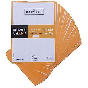 Unipapel 53392252 vervangende vellen 100 vellen A4, geruit 5 x 5, lint oranje, PaperClas90 g, Papyrus - Unicolor 1