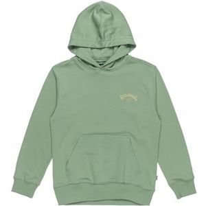 BILLABONG Stichting Po T-shirt voor jongens, Mos, 12 jaar