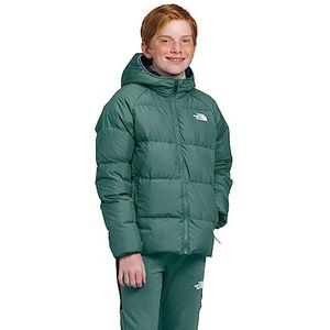 THE NORTH FACE North Geïsoleerde jas Donkere Salie L