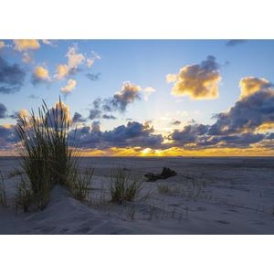 Rasch Behang 364699 - Fotobehang op vlies met strand en zonsondergang in blauw en beige uit de collectie Magicwalls - 2,65 m x 3,71 m (L x B)