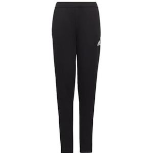 adidas, Ent22 Tr PNT Y, joggingbroek, zwart, 128 EU kind