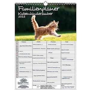 Seelenzauber Familieplanner - Jonge Katten DIN A3 Kalender Voor 2022 Kittens