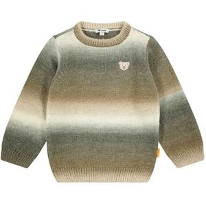 Steiff Trui EU maat 92, sesamtrui, lange mouwen, kindertrui, warm en comfortabel, wasmachinebestendig, sesam, 92