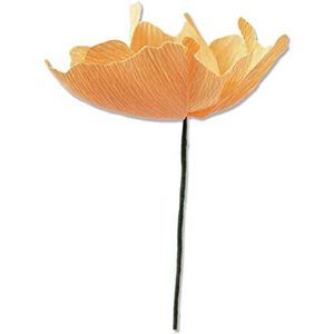 Sizzix Thinlits Matrizenset 5PK California Poppy van Lisa Jones, 664921, Multicolor, One Size