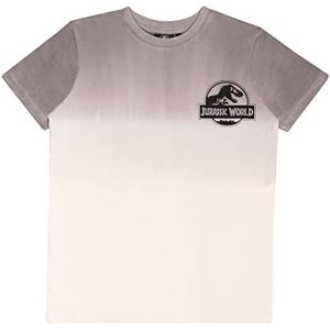 Jurassic World Ombre Dinosaur Observation Committee T-shirt, Kinderen, 116-170, Grey, Officiële Koopwaar