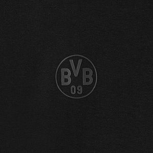 Borussia Dortmund BVB Hoodie Essentials, grijze hoodie, basic trui, S-3XL