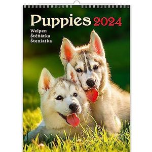 Puppykalender 2024