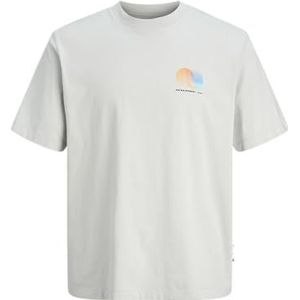 JACK & JONES Heren Jcocalma Front Print Tee Ss Crew Neck, grijs (gray dawn), XL