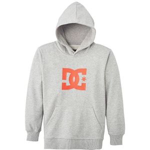 DC Shoes Ster Sweatshirt met capuchon – Jongens '