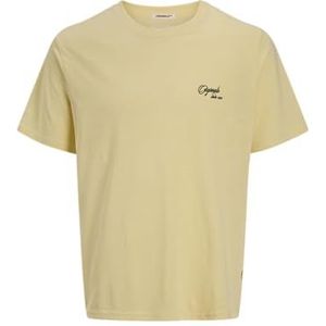 JACK & JONES Jorhydra Back Sketch Tee Ss Crew Neck voor heren, Double Cream, S