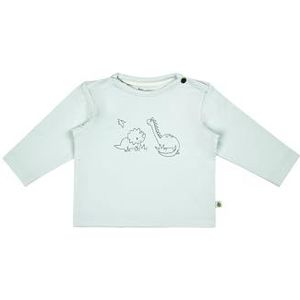 Sterntaler Rexi T-shirt met lange mouwen voor babyjongens, lichtturquoise, 50 cm