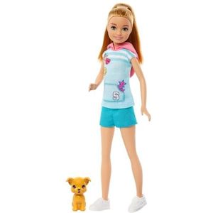 Barbie Stacie Pop met hondje, speelgoed uit de film Barbie and Stacie to the Rescue, pop met blond haar, HRM05