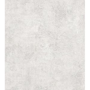 Rasch behang 282405 - licht papierbehang met beton-look, pleisterwerk in industriële stijl; lichtgrijs, wit - 10,05m x 0,53