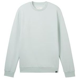 TOM TAILOR Denim Sweatshirt voor heren, 17549 - Sea Foam, S