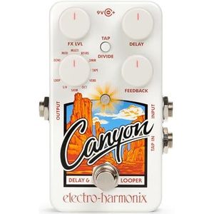 Electro-harmonix Canyon Delay/Looper