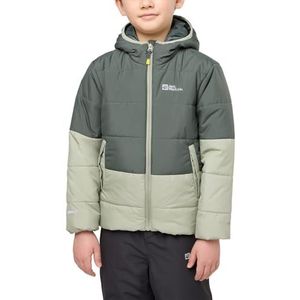 Jack Wolfskin - TWO HILLS INS - Kinderjas - Leisteengroen - Uniseks