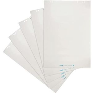 Landre Flipchart-papier recycling, blanco, 20 vellen per blok, 5-pack