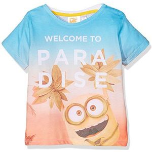 Universal Minions T-shirt voor jongens, Meerkleurig, 2-3 Jaren