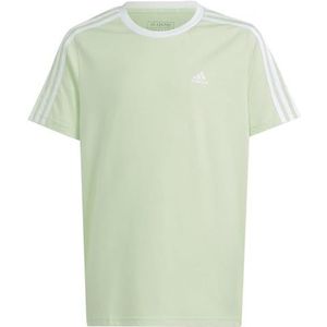 adidas - Essentials 3-Stripes - T-shirt - semi green spark/white