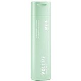 Glynt Volume Energy Shampoo 2 voor fijn en dun haar, 250 ml