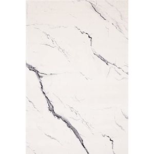 Agnella Diverse Marble tapijten - tapijt 100% Nieuw-Zeelandse wol - geweven met Wilton-technologie - tapijt woonkamer modern vintage retro - 160 x 240 x 1,20 cm - poolwit