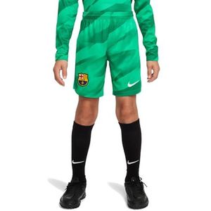 Nike Unisex Kids Shorts Fcb Y Nk Df Stad Shorts Gk, Stadium Groen/Malachiet/Wit, DX2782-324, M