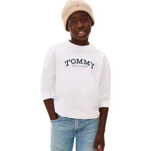 TOMMY HILFIGER Shirt  navy / wit